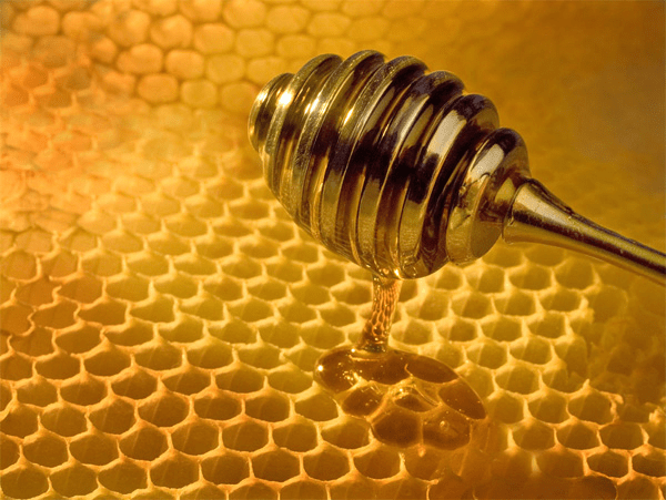 The HoneyPot Theory